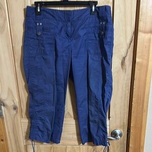 NWOT LOFT Capris Pants